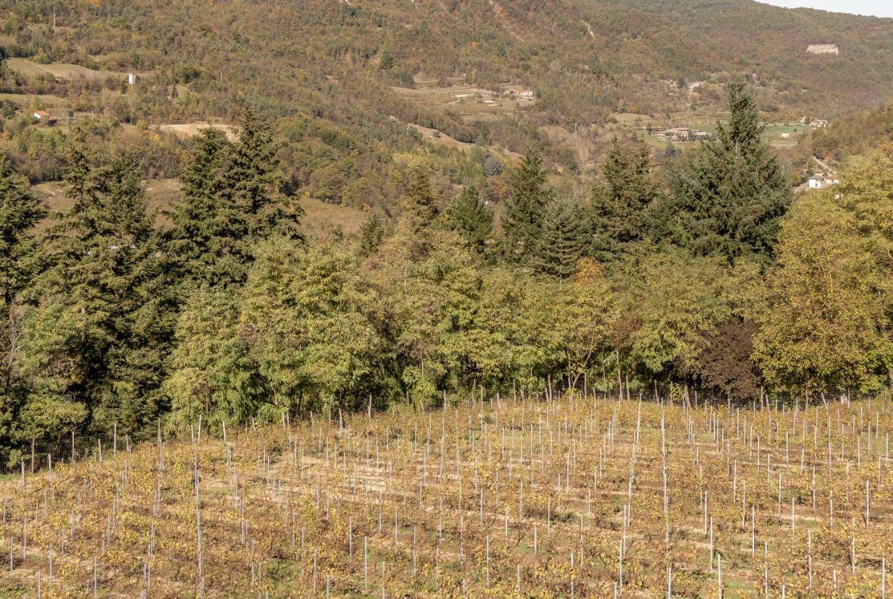 Tenuta Pian D'Attesio - Agriturismo Castelletto Soprano Eksteriør billede