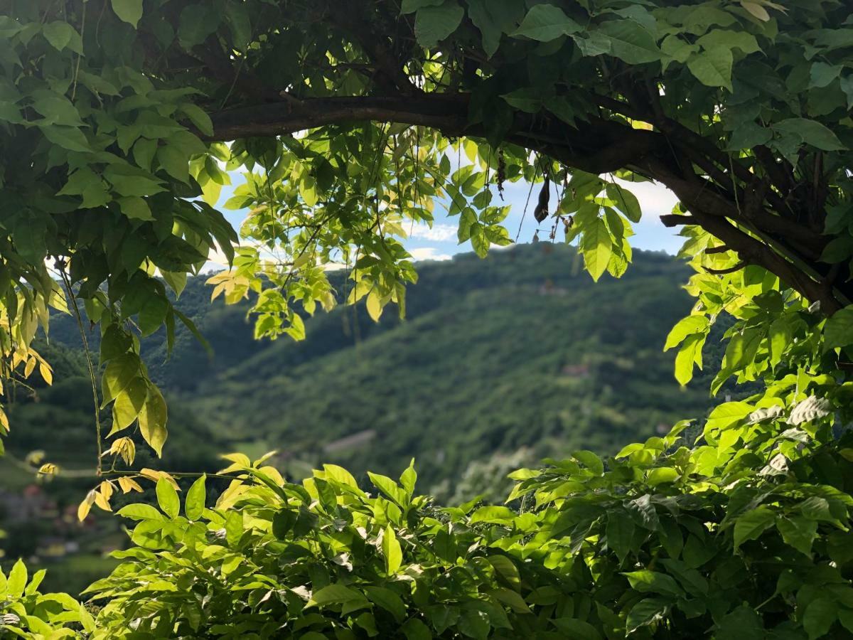 Tenuta Pian D'Attesio - Agriturismo Villa Castelletto Soprano Eksteriør billede