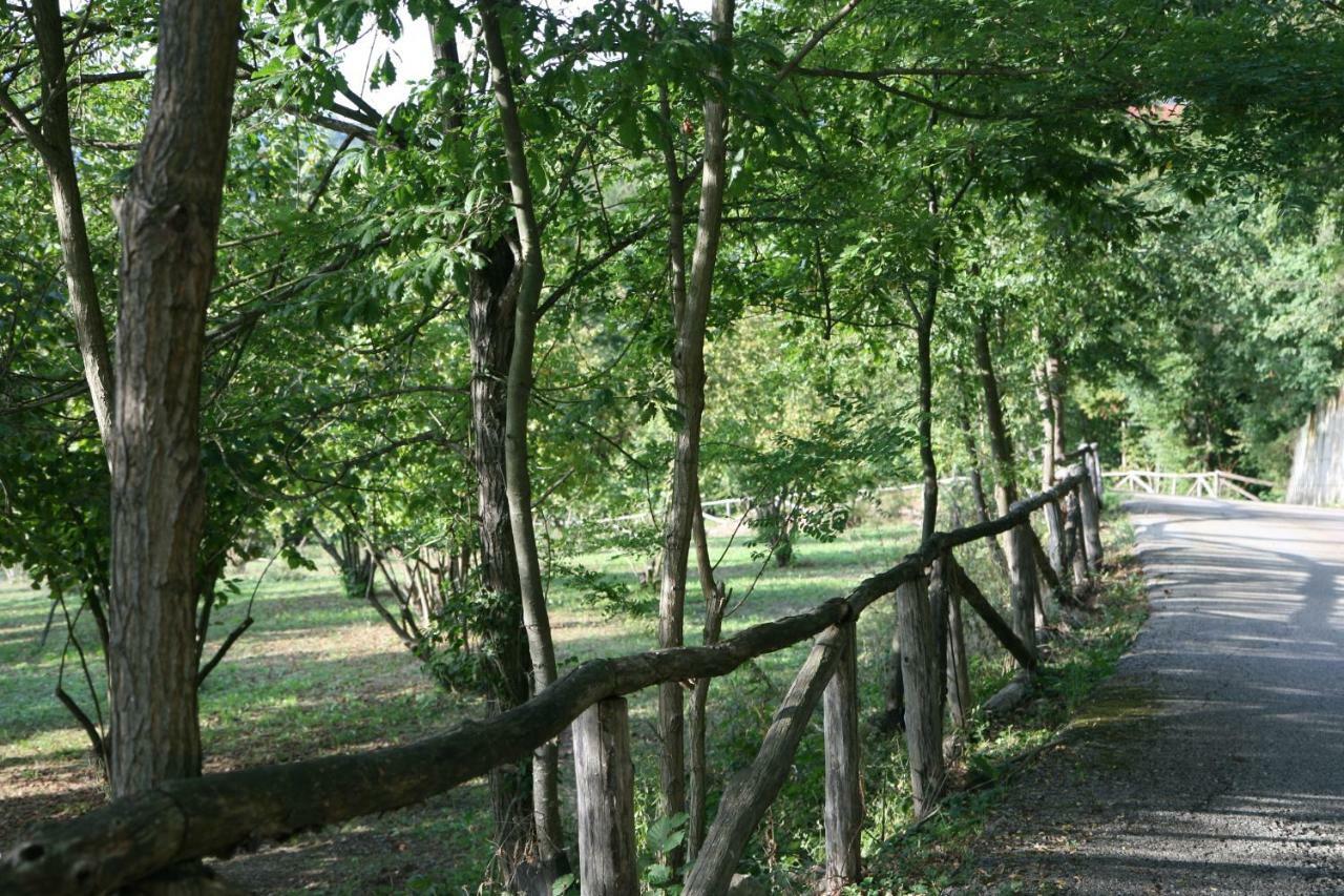 Tenuta Pian D'Attesio - Agriturismo Castelletto Soprano Eksteriør billede