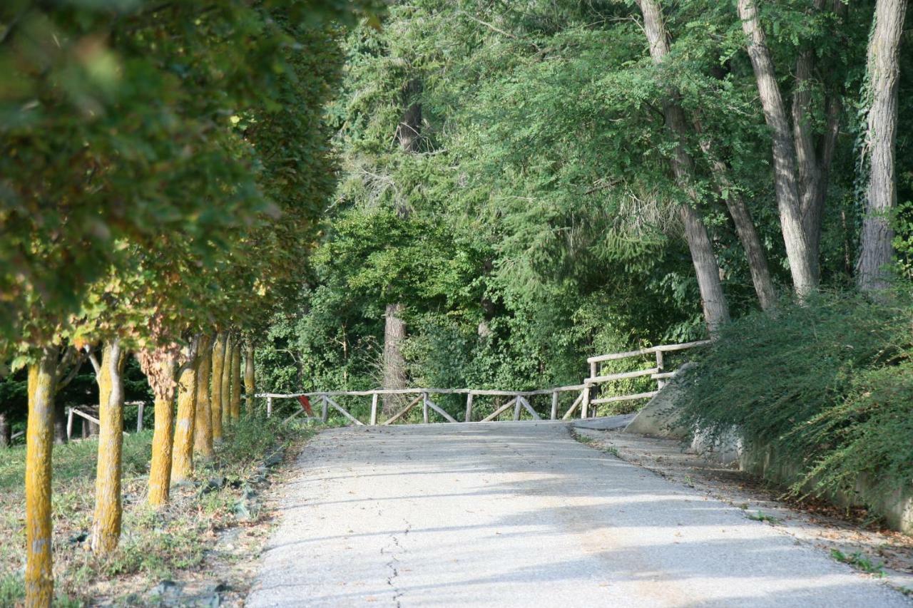 Tenuta Pian D'Attesio - Agriturismo Castelletto Soprano Eksteriør billede